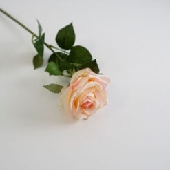 dhs-dyon-rose-pink