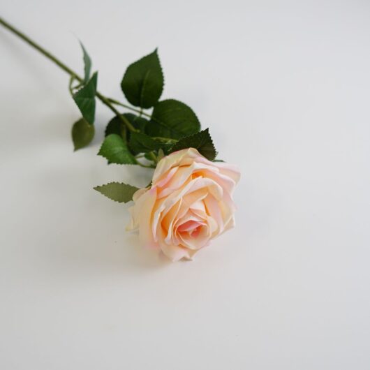 dhs-dyon-rose-pink