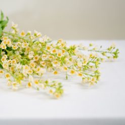 dhs-mini-flower-spray-2