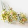 dhs-thistle-pink