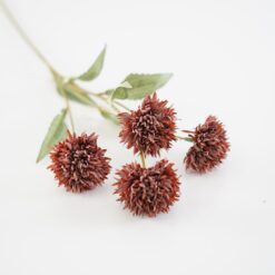 dhs-chrysanthenum-brown-with-a-touch-of-rust