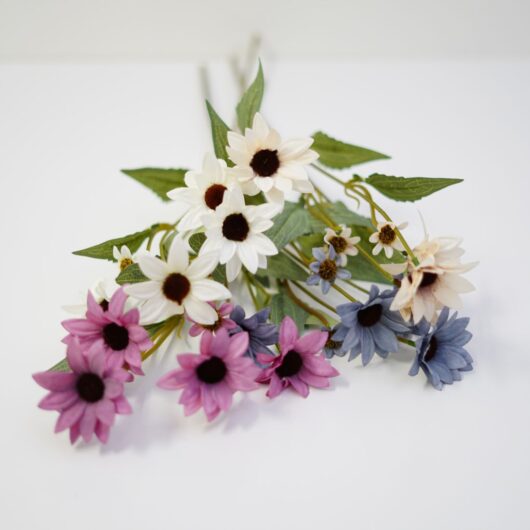 dhs-echinacea-4-colors