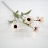 dhs-echinacea-lilac