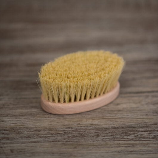 dhs-body-brush
