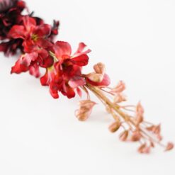 dhs-delphinium-deep-red-1