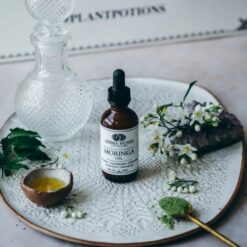 anima-mundi-moringa-oil
