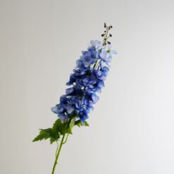 dhs-delphinium-dark-blue-1