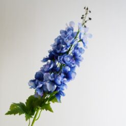 dhs-delphinium-dark-blue-nw