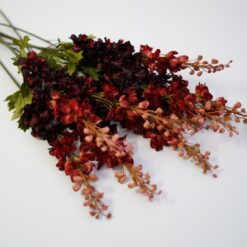 dhs-delphinium-deep-red-plurial