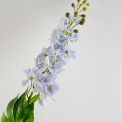 dhs-delphinium-light-blue-detail-nw