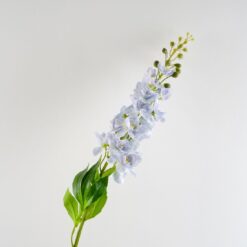 dhs-delphinium-light-blue-new