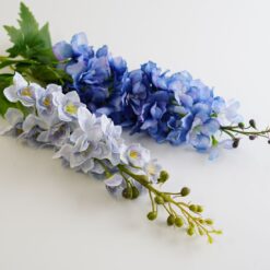 dhs-delphinium-two-colors-new