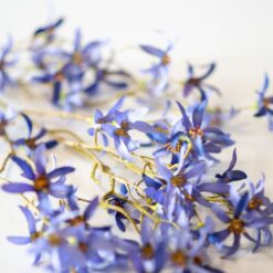 dhs-magnolia-stellata-blue-detail
