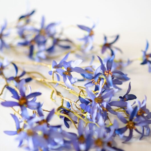 dhs-magnolia-stellata-blue-detail