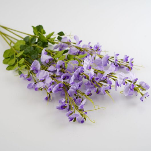 dhs-sweet-pea-lavender-several-stems