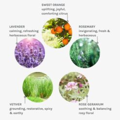 evolve-pure-tranquility=wash-key-ingredients