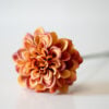 antique-rust-dahlia