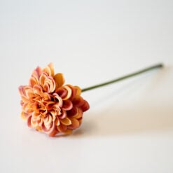 antique-rust-dahlia-1