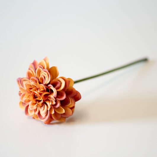 antique-rust-dahlia-1