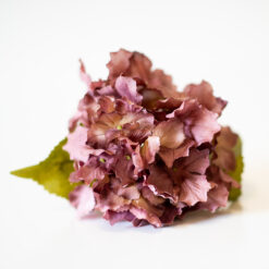 dhs-hydrangea-medium-brown-red
