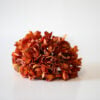 dhs-hydrangea-grand-rusty-brown-new