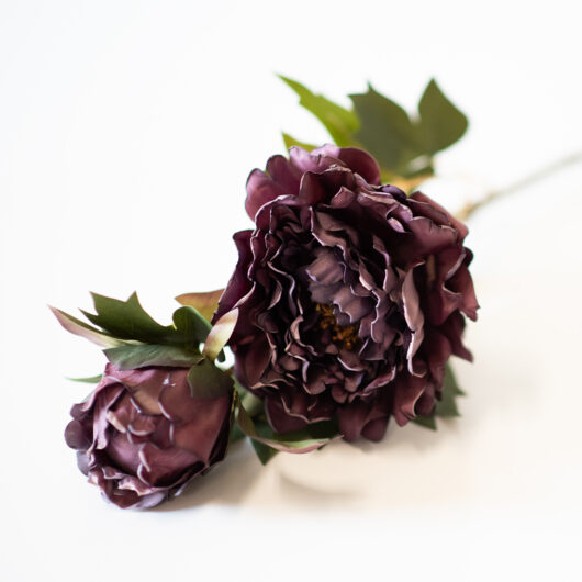 dhs-purple-rose-new