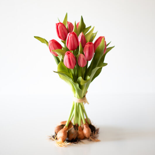 dhs-real-touch-tulip-sheaf-red
