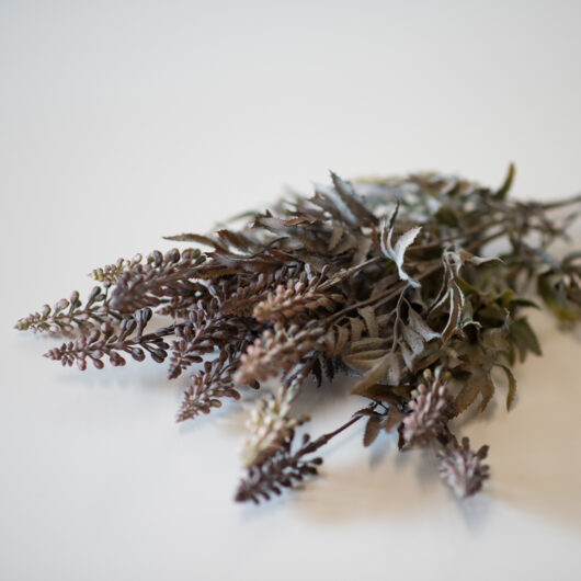 dhs-sage-lavender-bunch-new