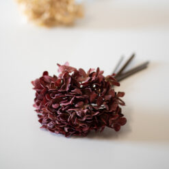 dhs-old-hydrangea-small-dark