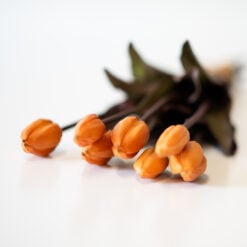 dhs-bunch-of-rust-colored-tulips-new