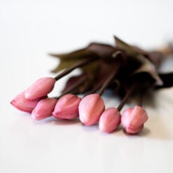 dhs-bunch-of-rust-colored-tulips-new