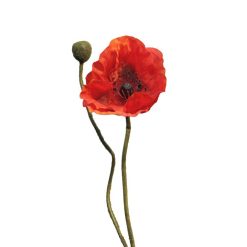 dhs-big-oppy-flower-red-new