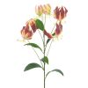 Gloriosa lily spray pink