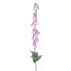 dhs-foxglove-pink-new