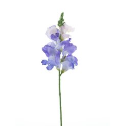 dhs-antirrhinum-lavender-new