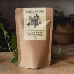 anima-mundi-gut-sweep
