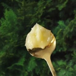delizioso-honeybotan4