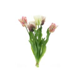 dhs-parrot-sally-combo-pink-1