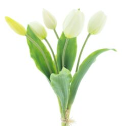 dhs-holland-sally-cream