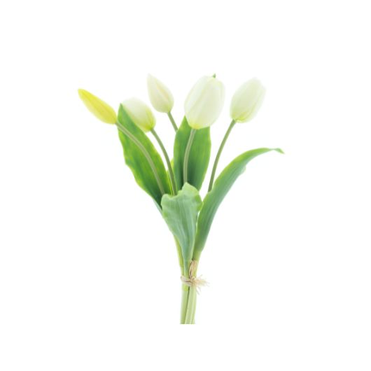 dhs-holland-sally-cream-1