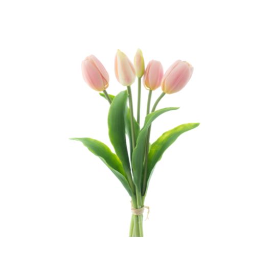 dhs-holland-sally-pink-1