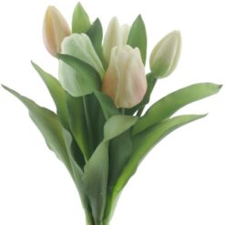 dhs-vermeer-tulip-green-yellow