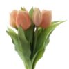 dhs-vermeer-tulips-orange-peach