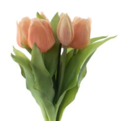 dhs-vermeer-tulips-orange-peach