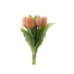 dhs-vermeer-tulips-orange-peach-1