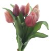dhs-vermeer-tulips-red-pink