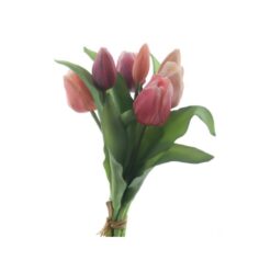 dhs-vermeer-tulips-red-pink-1