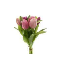 dhs-vermeer-tulips-fuchsia-combo