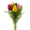 dhs-vermeer-tulip-mixed