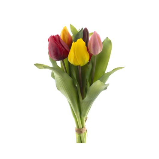 Vermeer Tulips Mixed - Image 2